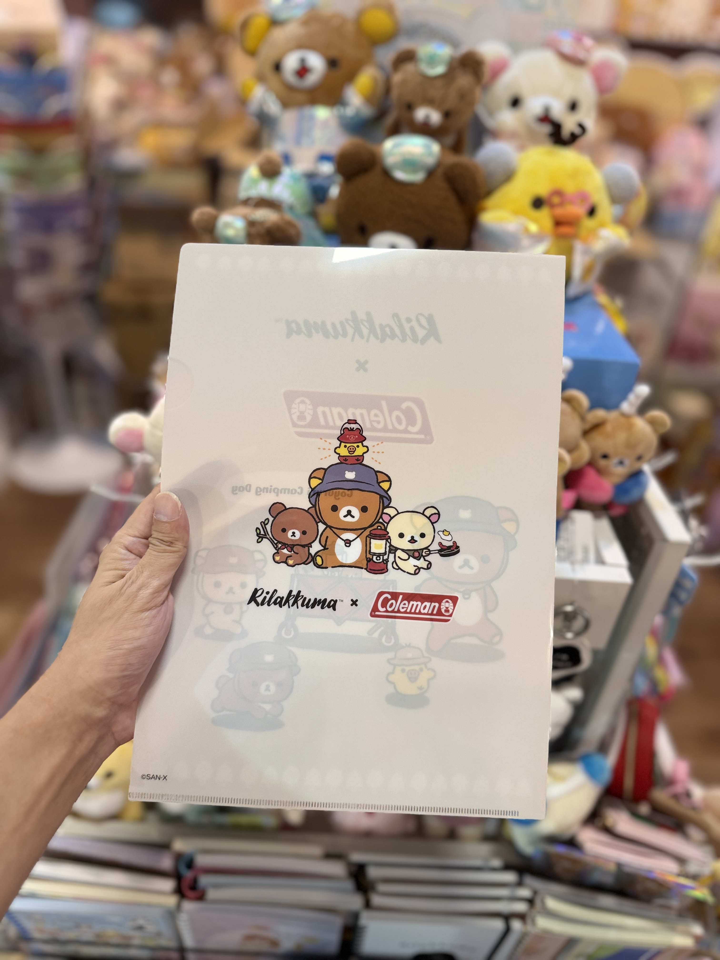 《現貨》全新日本專店限定 rilakkuma  x Coleman 對裝A4 file