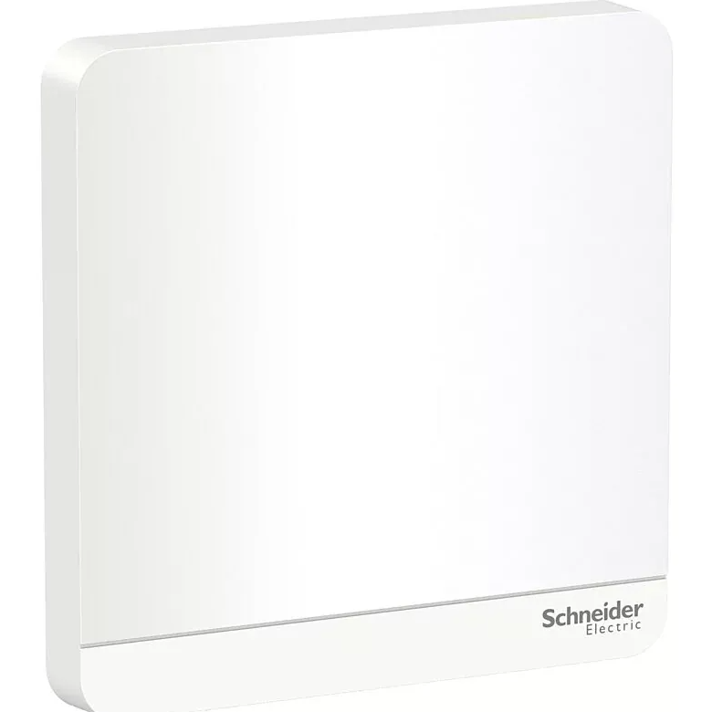 Schneider 施耐德 奐尚 單位空白掣面 E8330X_WG_C5