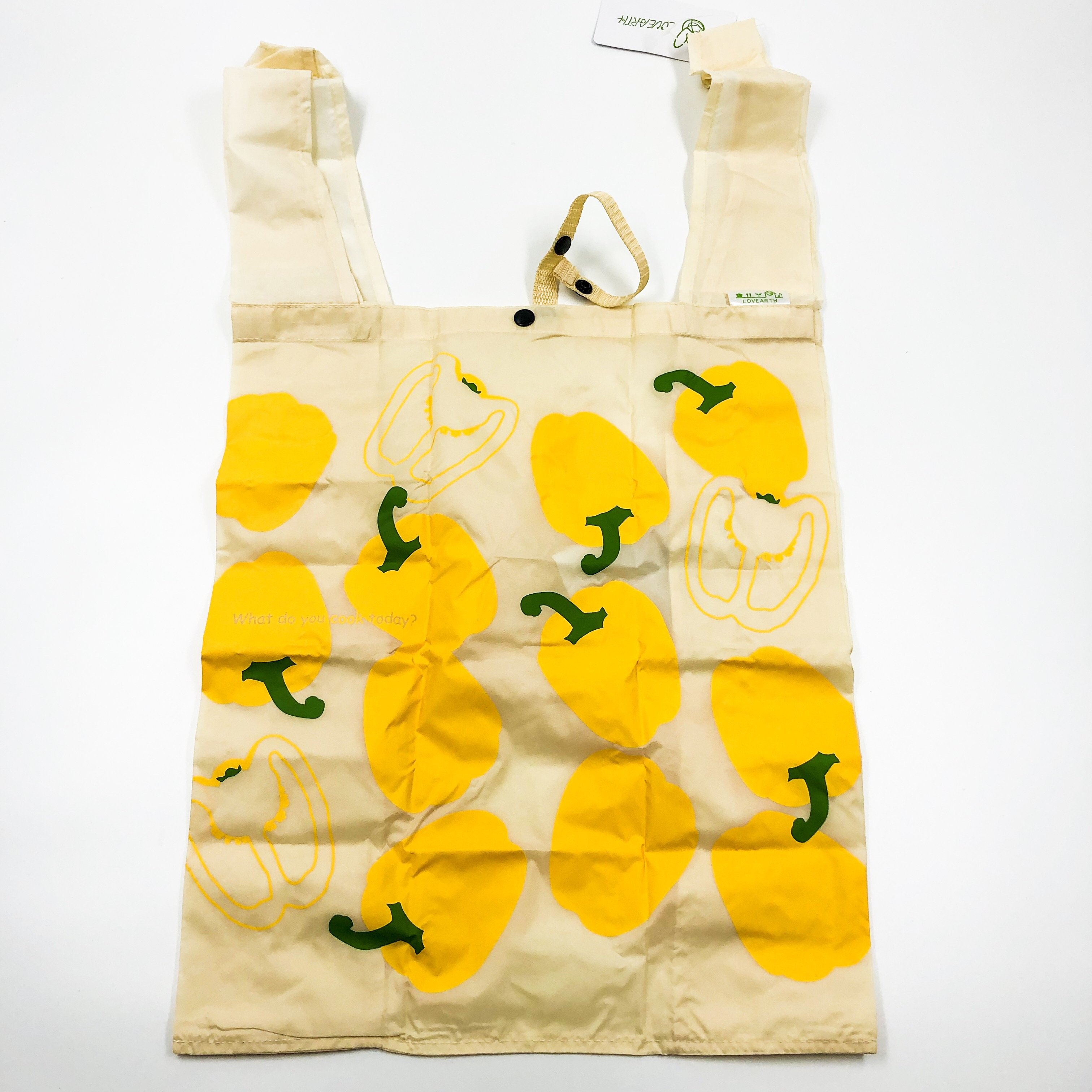 SHOPPING BAG 購物袋  (L10114105/1)