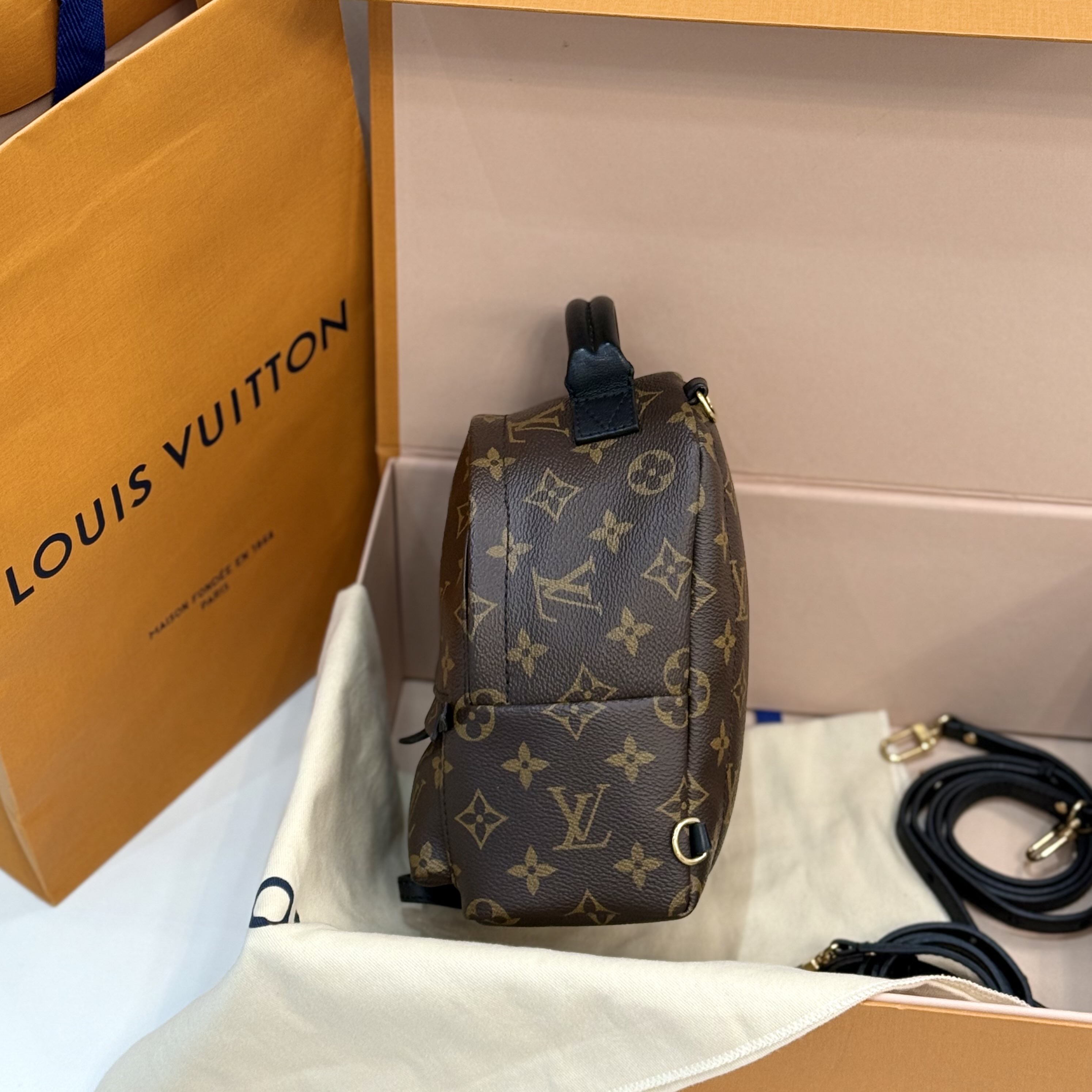 【預訂貨品】LV老花plam springs迷你書包 