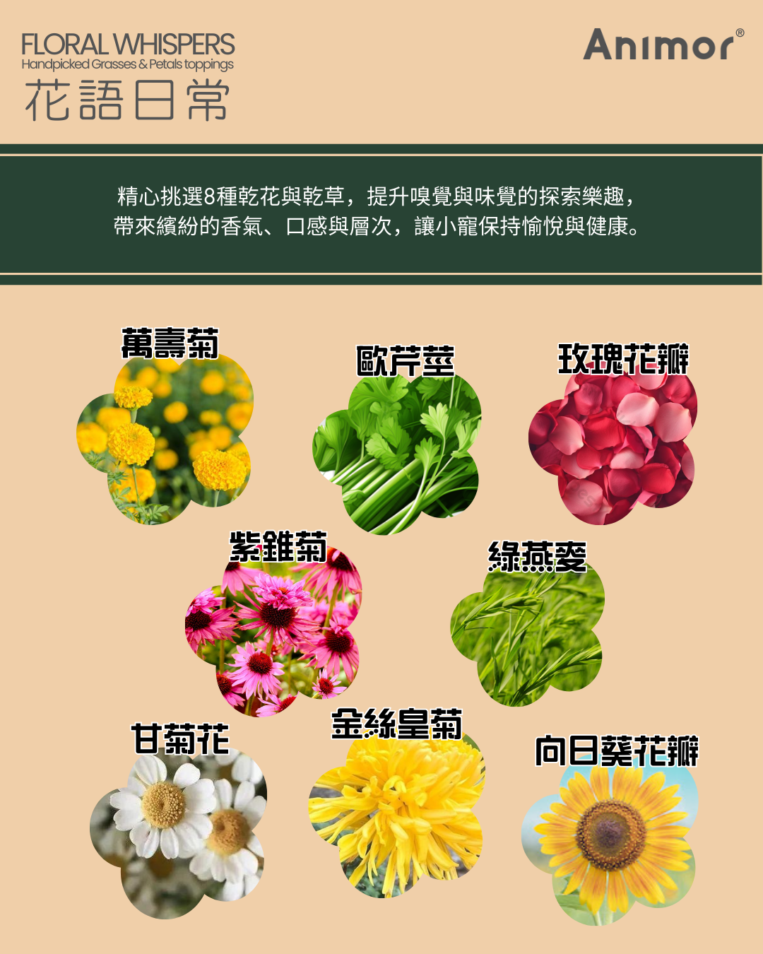 香港 Animor 花語日常 150g