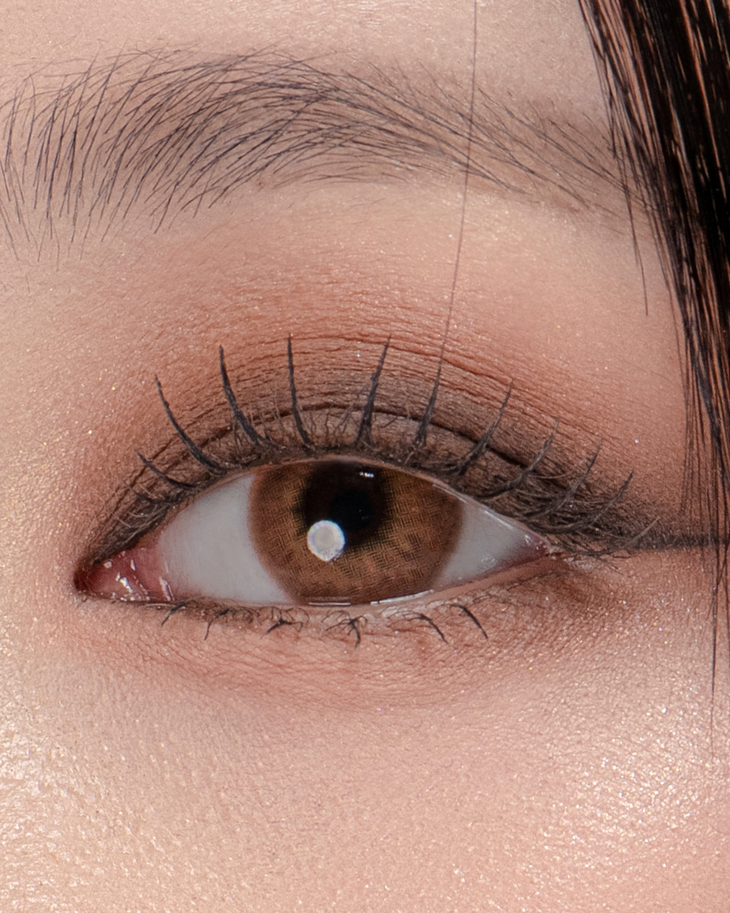 SIESTA - Color Addict Amber (1day/10P)