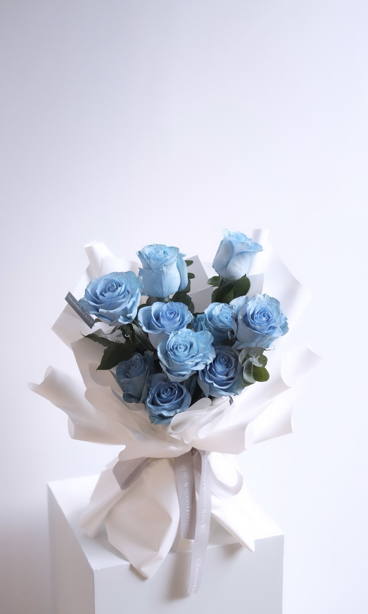 Blue rose (10stems)
