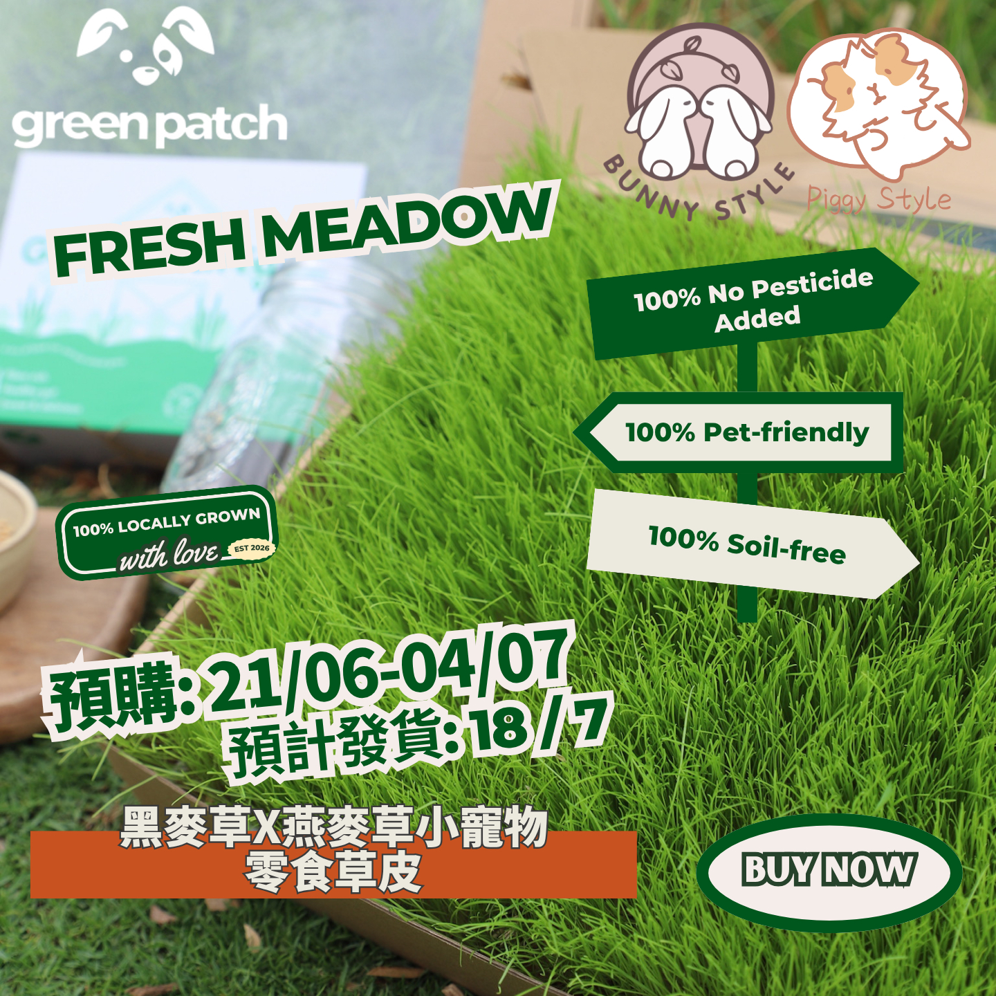 香港 Green Patch Farm Fresh Meadow 小寵物黑麥草X燕麥草零食草皮（約30x40cm）（7月18日發貨）