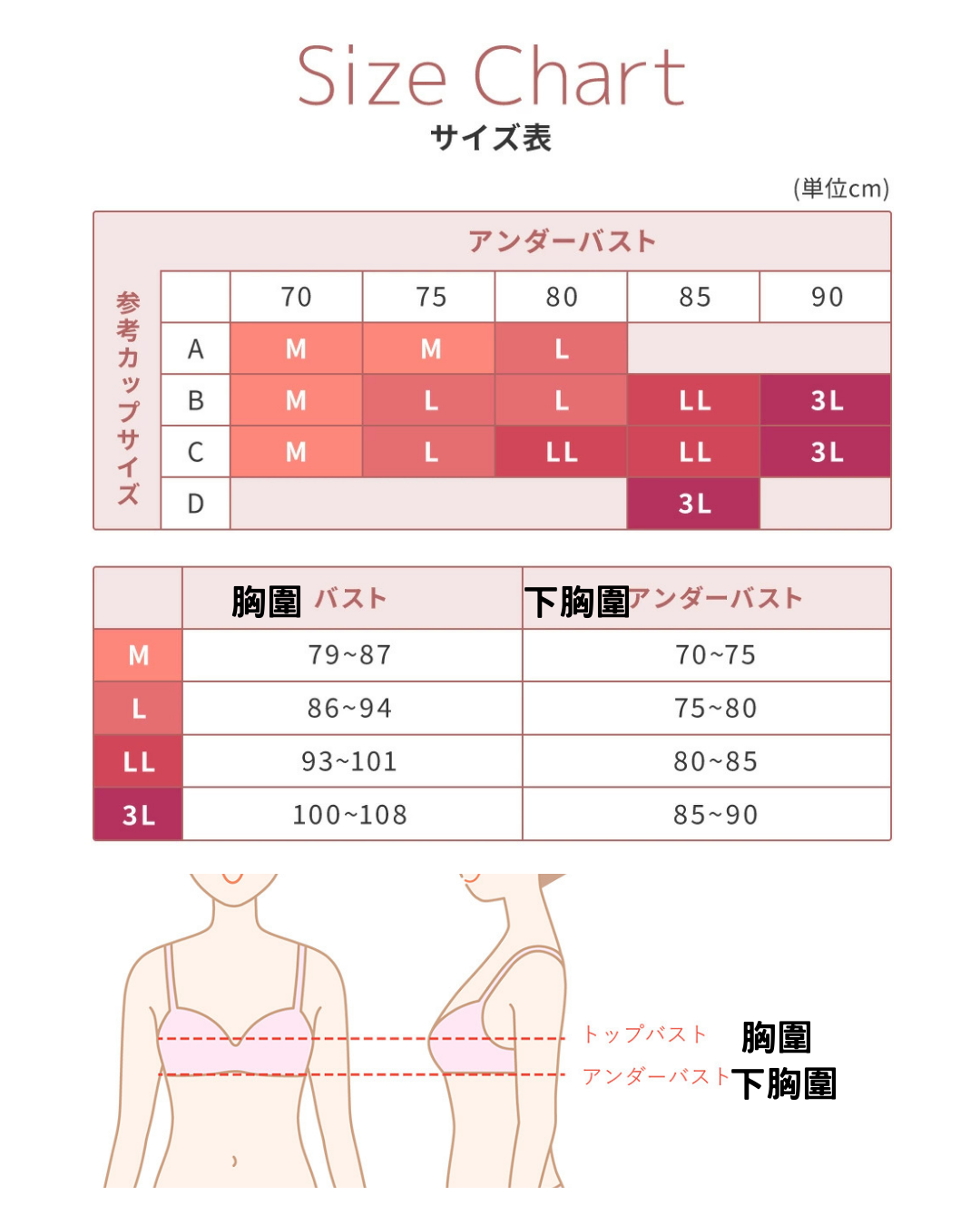 代購【 2026 新商品 日本直送 Gunze Fitte 多功能 無鋼圈 胸圍｜24小時舒適支撐  Fitte Multi Bra 】