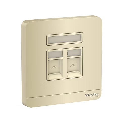 施耐德 AvatarOn 沉醉金 孖位 CAT3電話插座