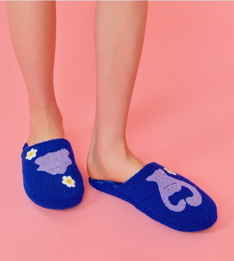 Wigglewiggle x Pokemon Limited Collection