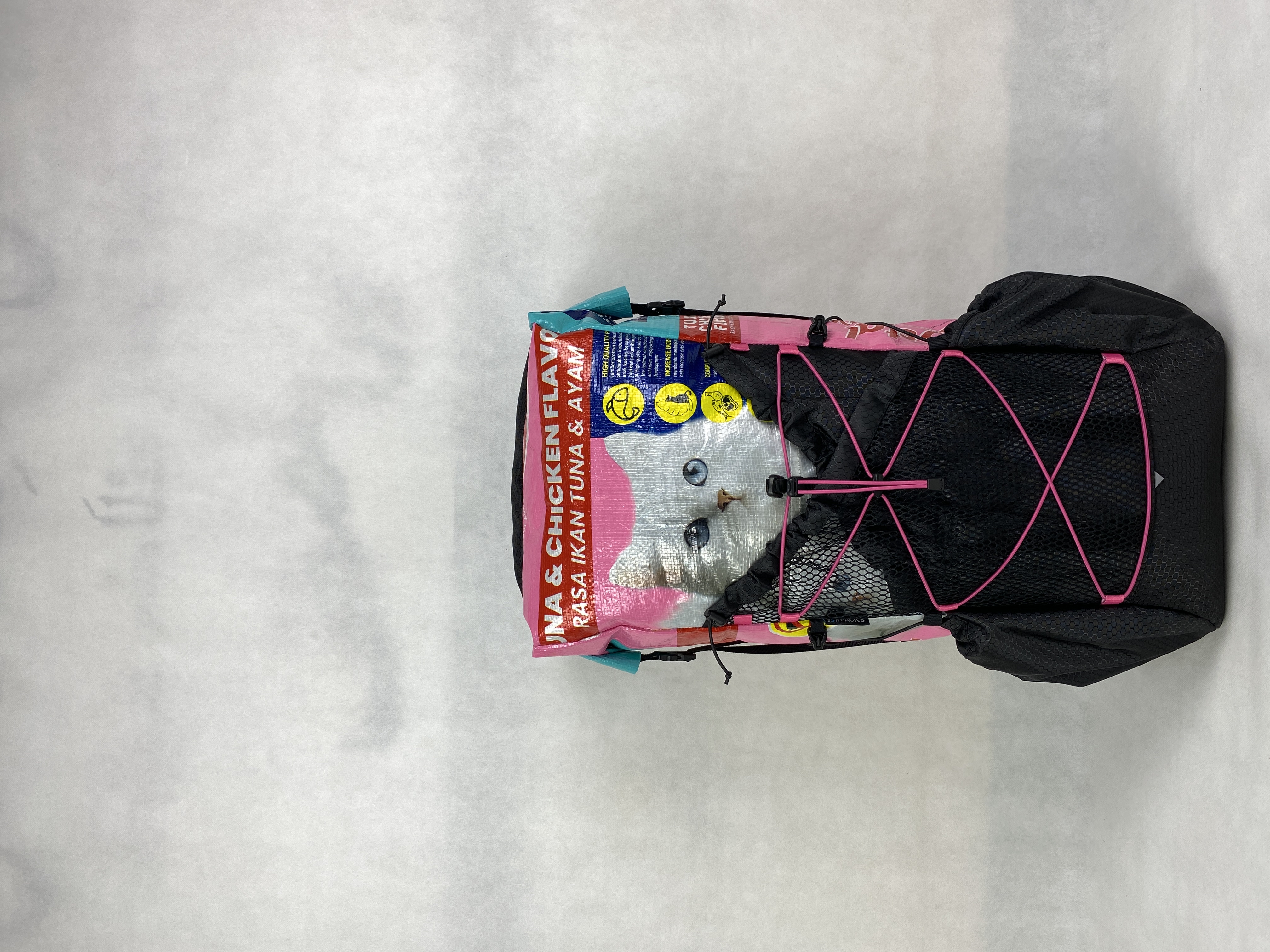 印尼YSR 背包 貓糧袋升級改造 Upcycle 輕量化 ultralight 背包 背囊
