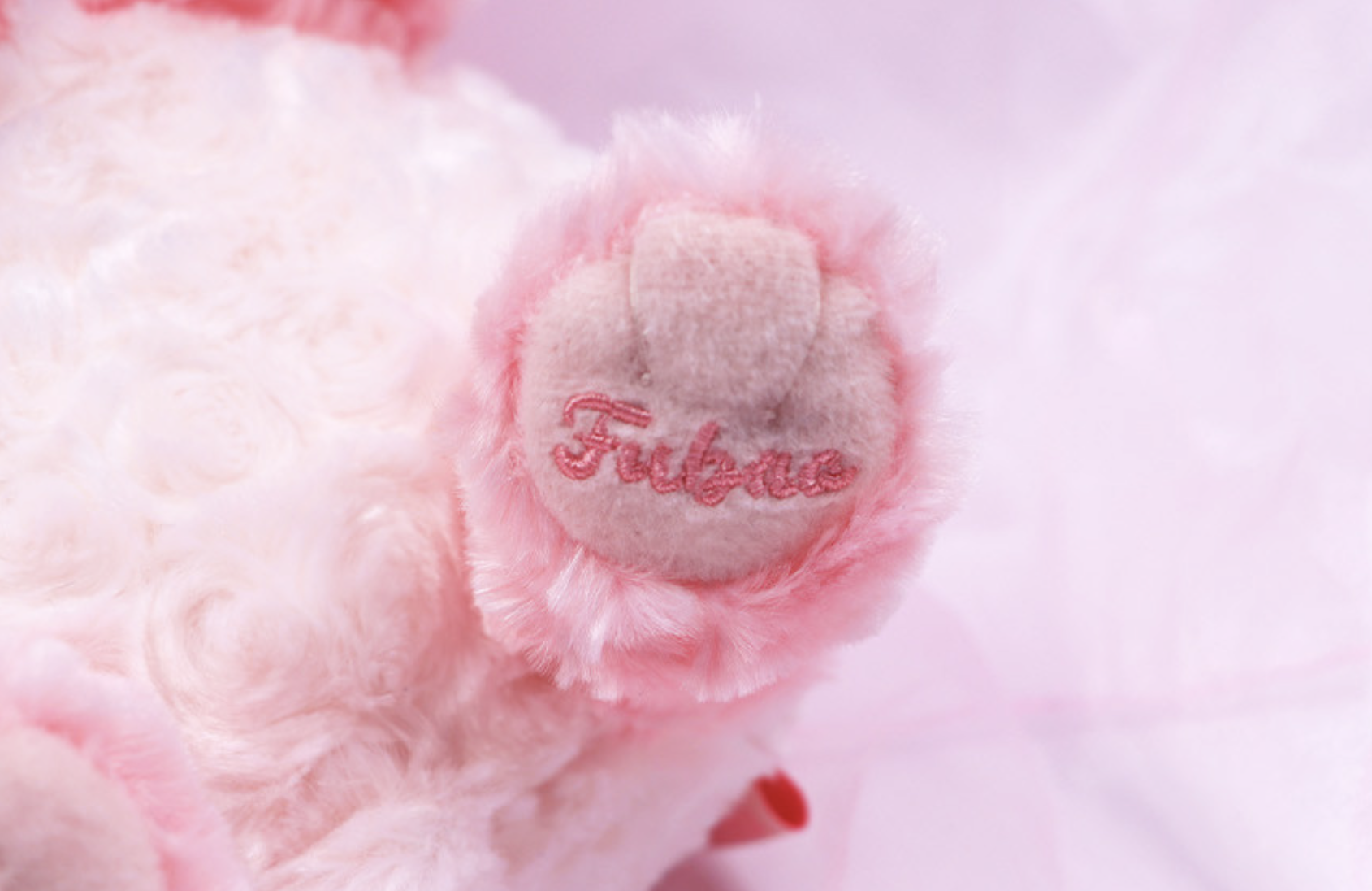 📦訂購 韓國代購 Everland Bao Family 寶家族 福寶 Fubao 櫻花公仔