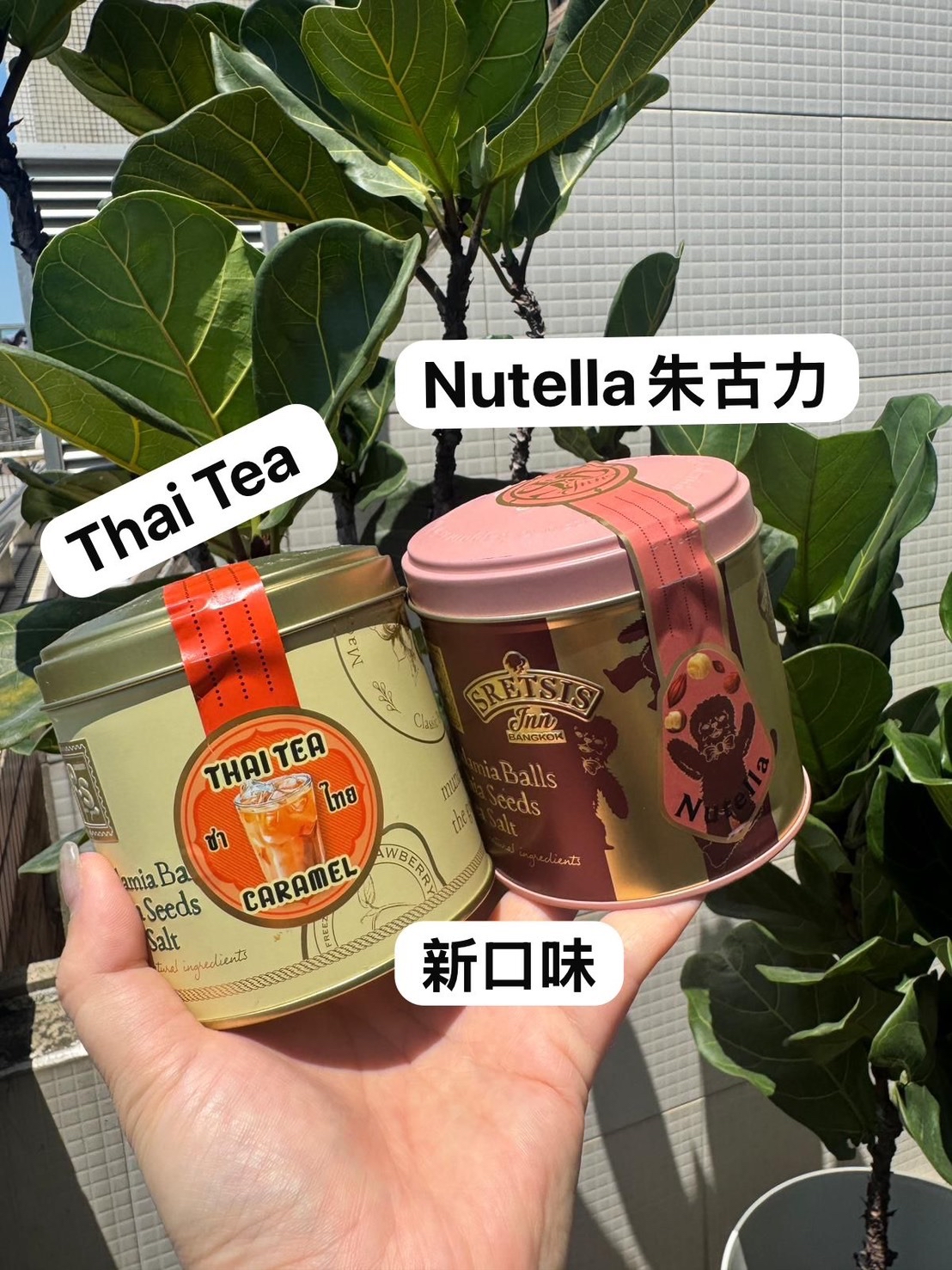 🇨🇷泰國本土小品牌 🇹🇭熱賣P.S. I Love You 曲奇波波🍪