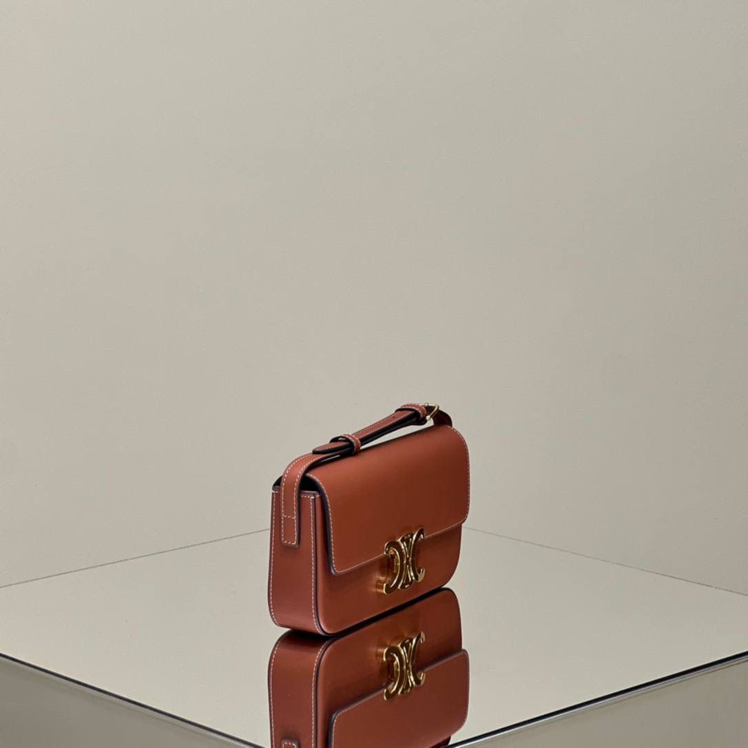 🔥大货实拍图 𝗖𝗘𝗟𝗜𝗡𝗘 ♥ 𝗧𝗥𝗜𝗢𝗠𝗣𝗛𝗘 𝗦𝗛𝗢𝗨𝗟𝗗𝗘𝗥 𝗕𝗔𝗚 型号：194143 尺寸：20*10*4cm