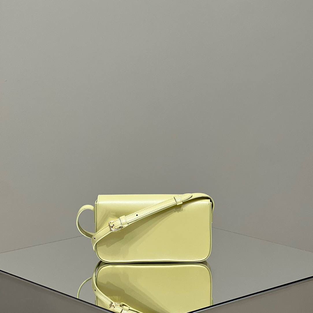 🔥大货实拍图 𝗖𝗘𝗟𝗜𝗡𝗘 ♥ 𝗧𝗥𝗜𝗢𝗠𝗣𝗛𝗘 𝗦𝗛𝗢𝗨𝗟𝗗𝗘𝗥 𝗕𝗔𝗚 型号：194143 尺寸：20*10*4cm