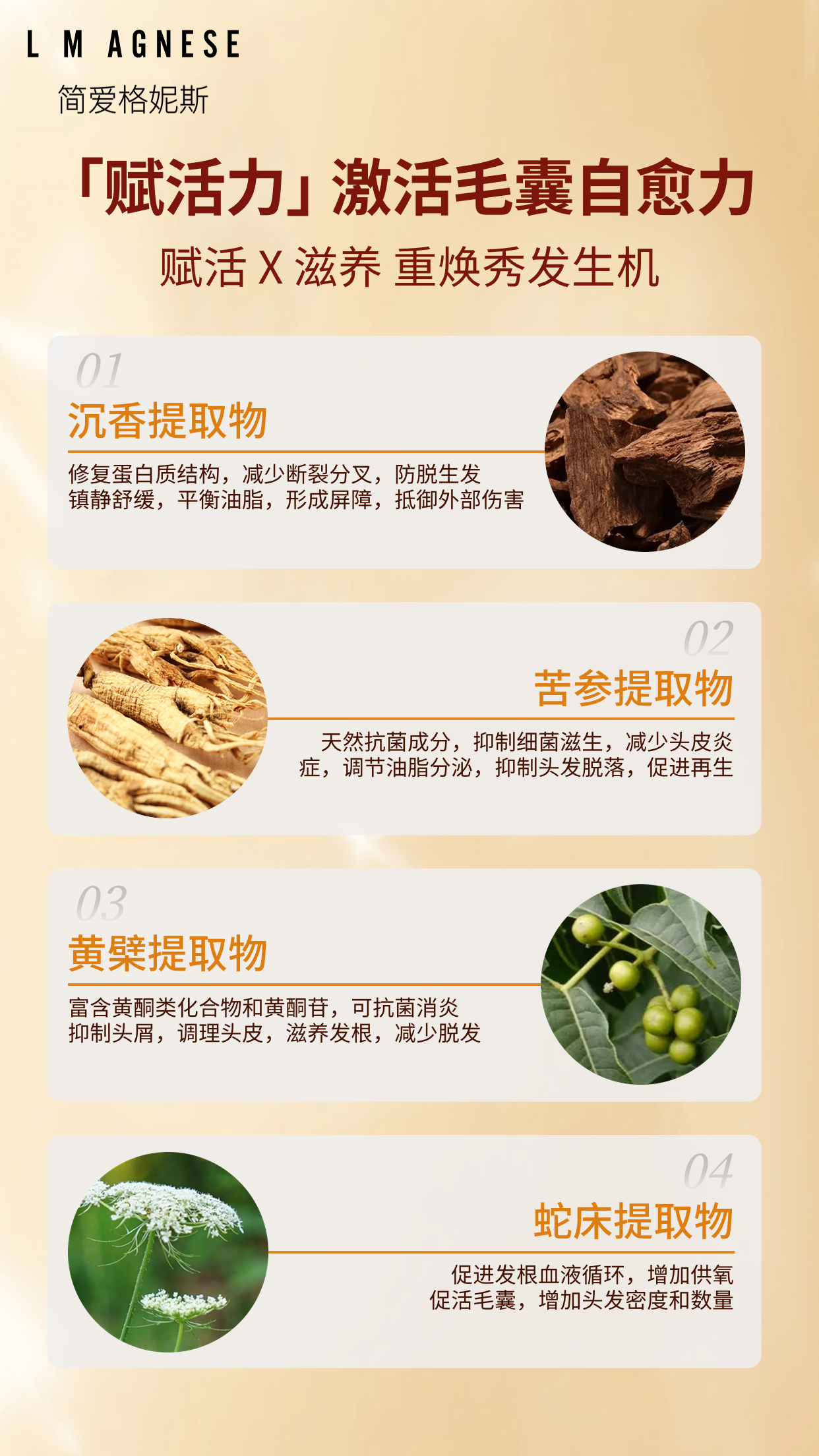 沉香草本护发素 Agarwood Herbal Conditioner 500g