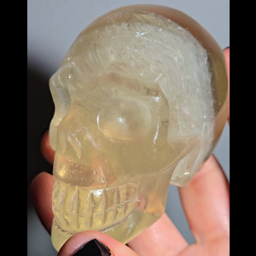 Citrine skull with rainbows and star flash asterism - C66