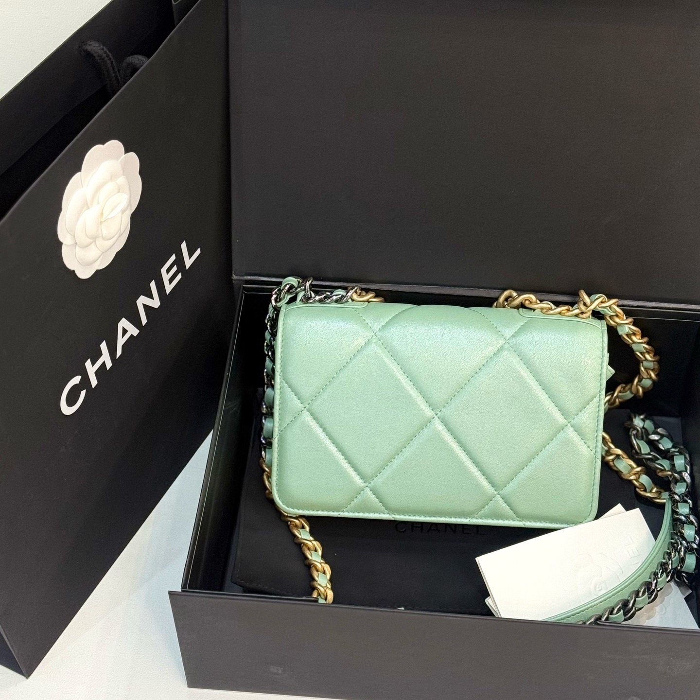 【預訂貨品】芯片款🪪 Chanel薄荷綠woc