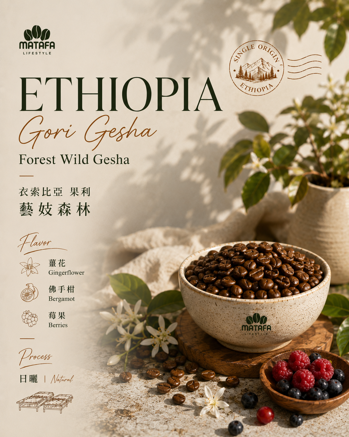 【衣索比亞Ethiopia】Gori Gesha Forest Wild Gesha