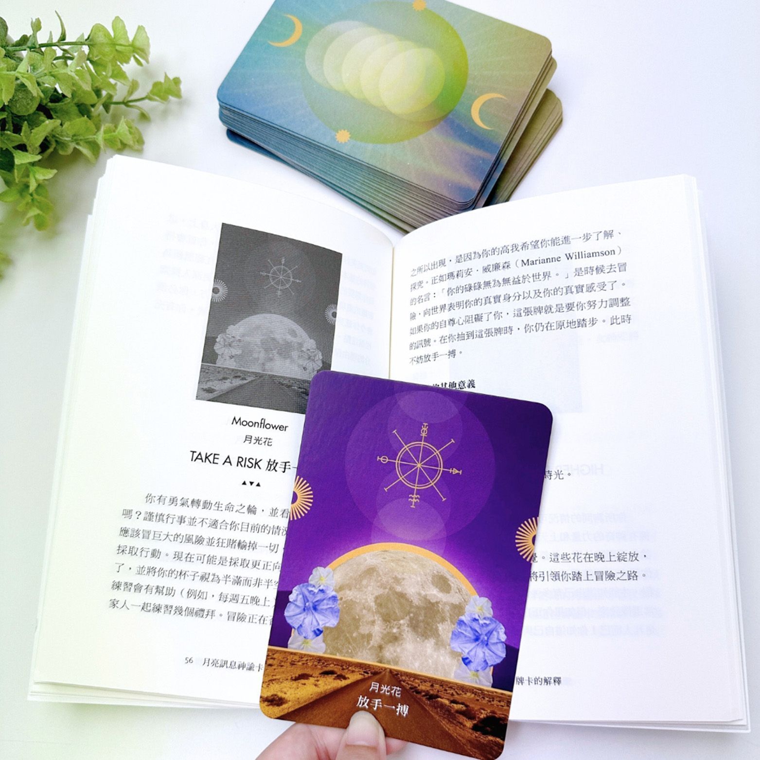 月亮訊息神諭卡