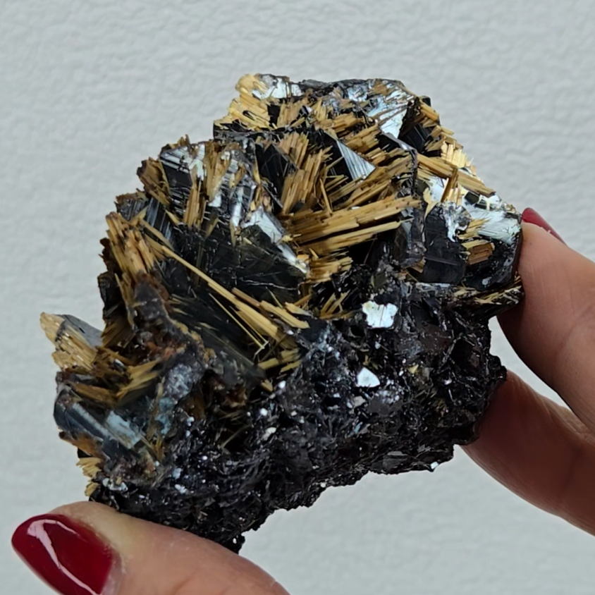 Golden exposed starburst rutiles on black hematite - RT288
