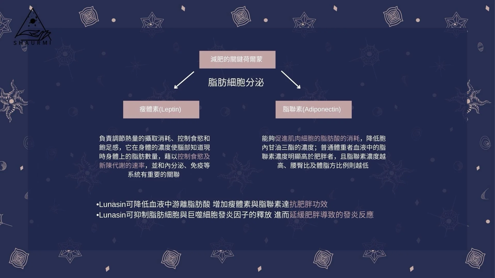 🔥五年銷售冠軍🏆𝐋𝐔𝐍𝐀𝐒𝐈𝐍 𝐂𝐎𝐂𝐎𝐀 𝟐.𝟎 香濃荷蘭黑可可口味代餐