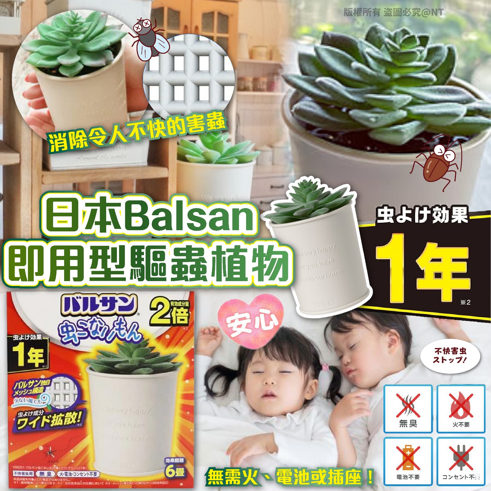 日本Balsan 即用型驅蟲植物-預計6月底到貨