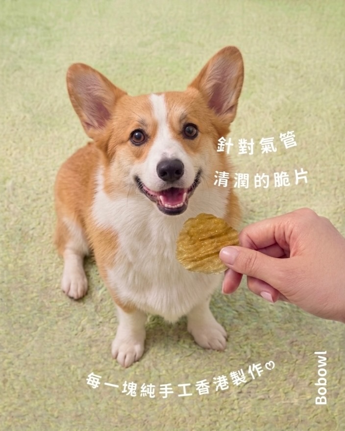 🦆鴨肉養生脆片・氣管清潤 