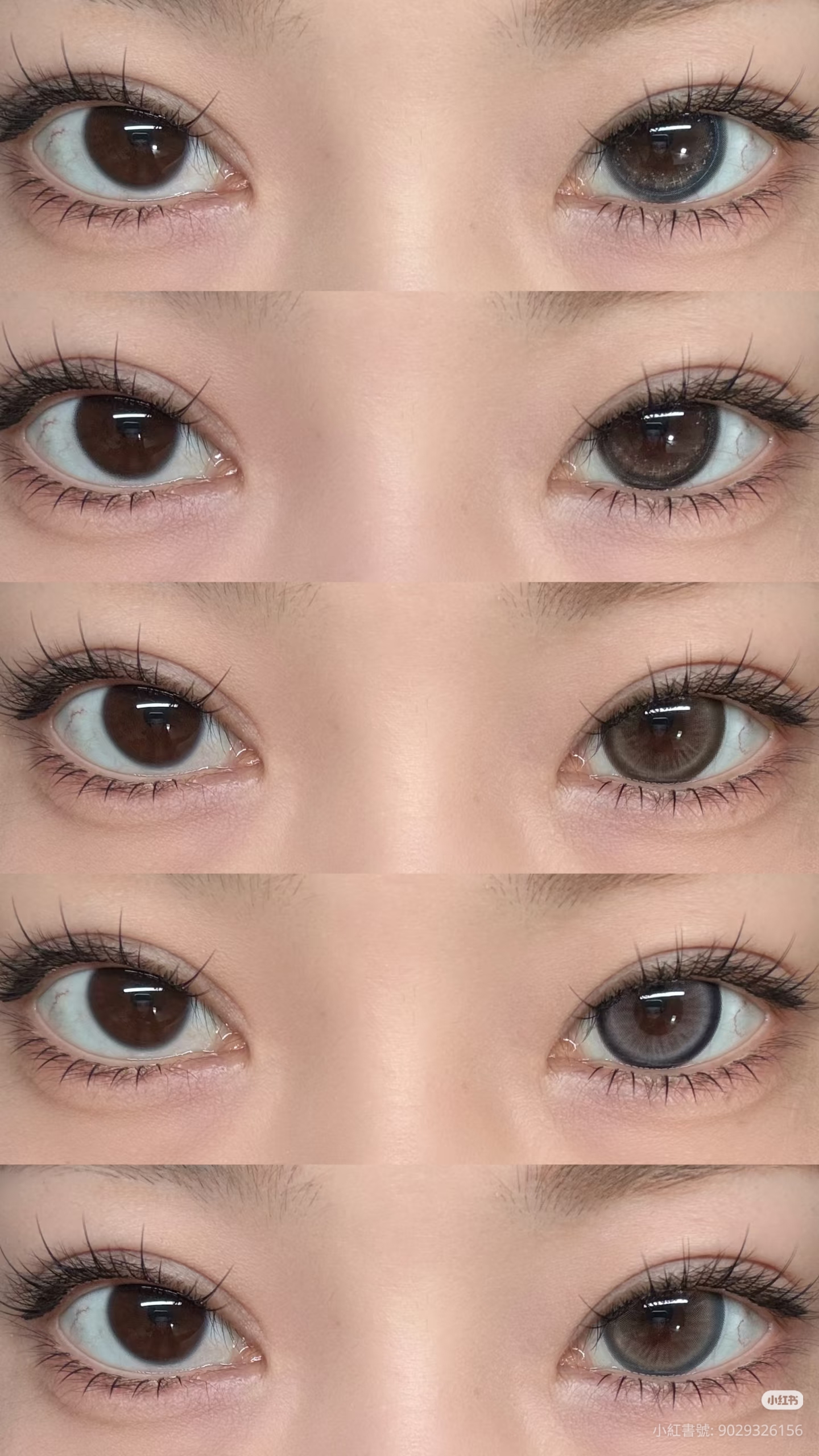 FullyGift 半年拋 浴光沙礫/息光脉絡/沐光椰吻