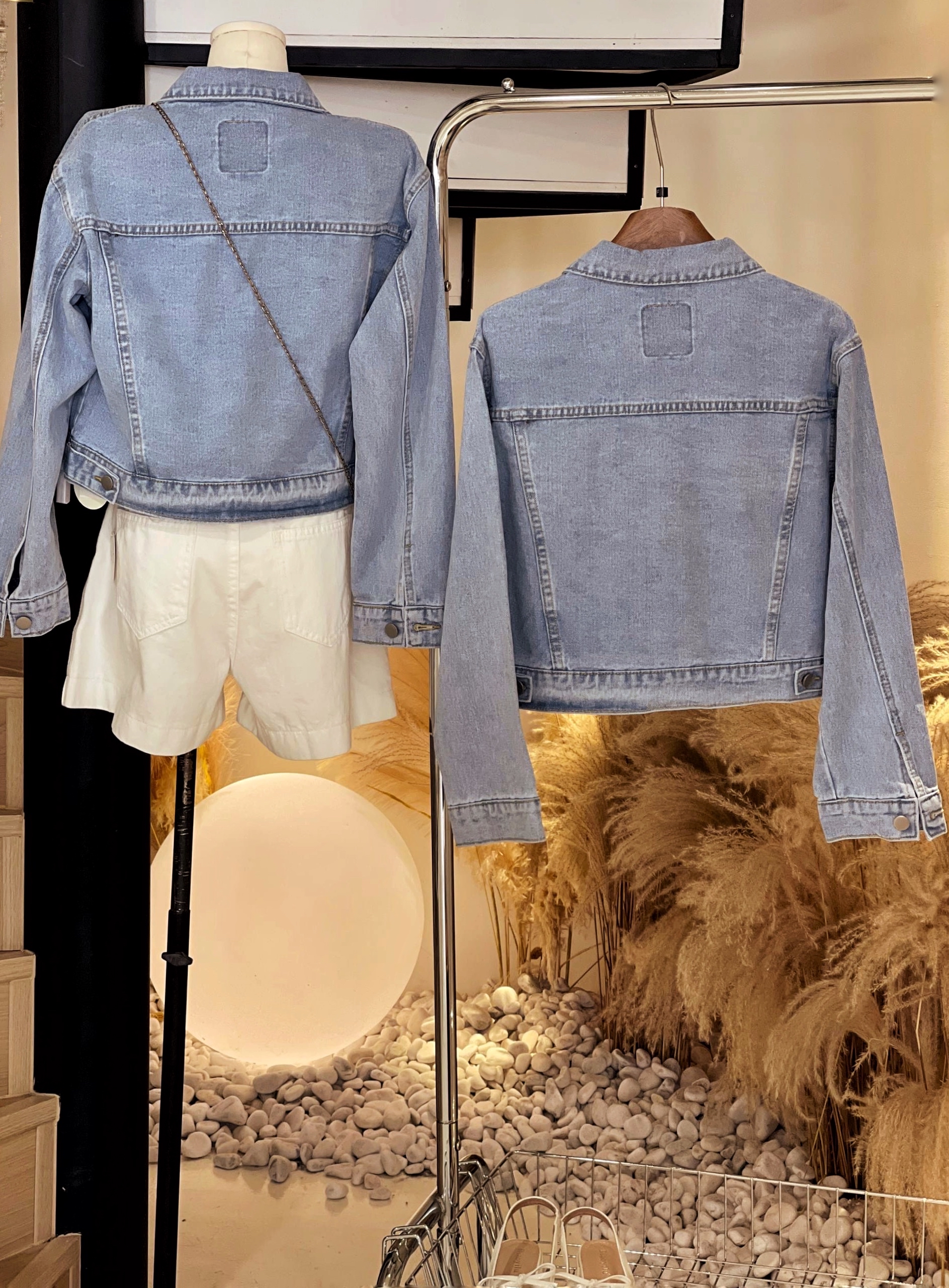 两只白毛狗牛仔外套