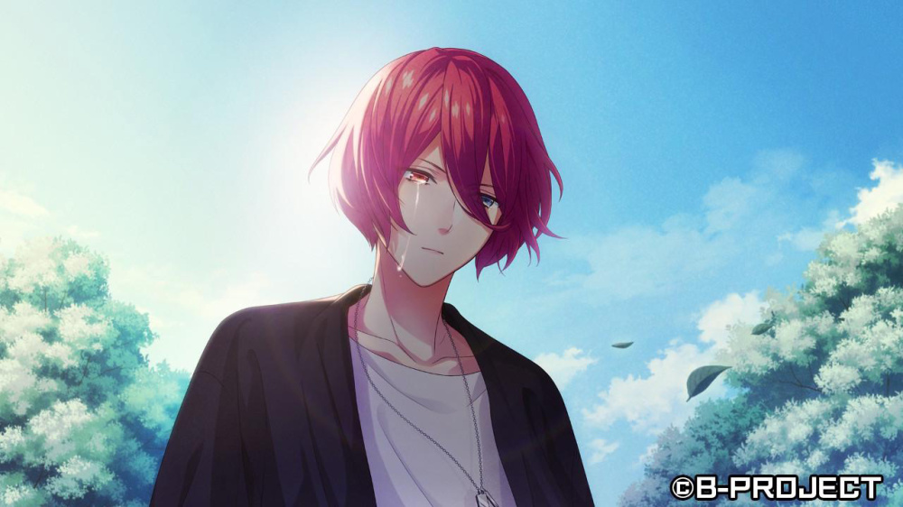 [現貨][乙女] NS B-PROJECT 流星＊幻想曲 中文版