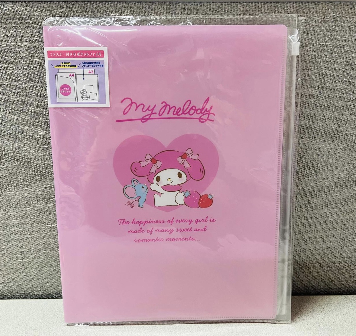 🎌日本直送🎌Sanrio 卡通 文件夾