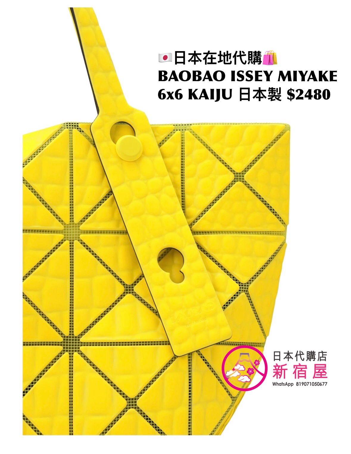 BAOBAO ISSEY MIYAKE 6x6 KAIJU