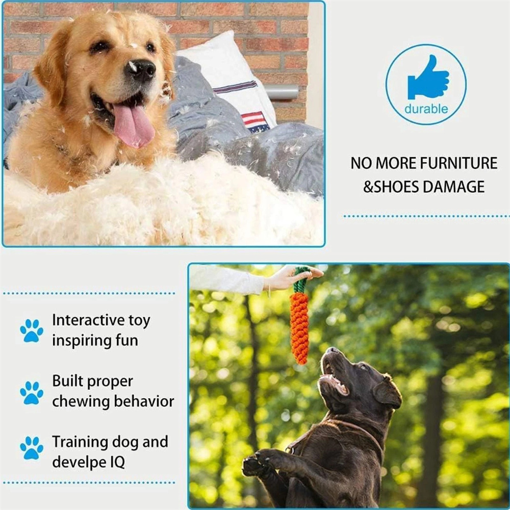 狗狗咬繩磨牙玩具 10件套 顏色款式隨機 UB0257