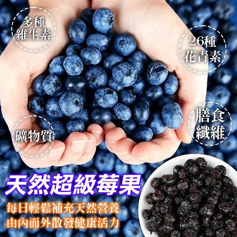 【預訂】台灣野生低糖藍莓乾 120g