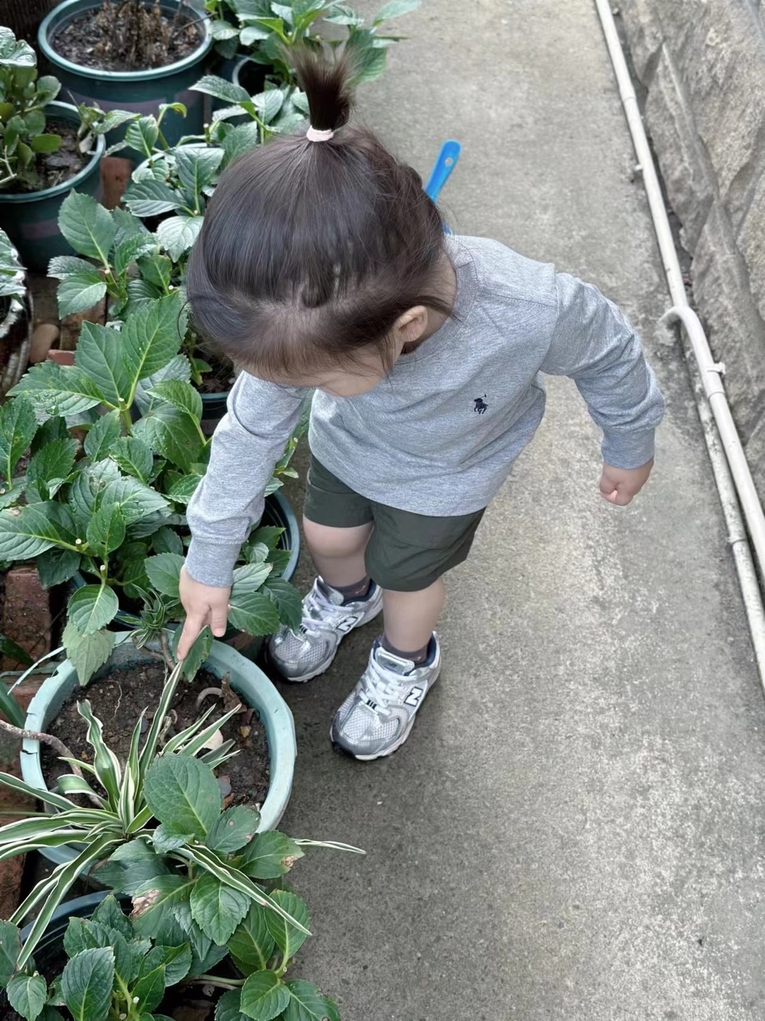 B0008 PL百搭打底上衣