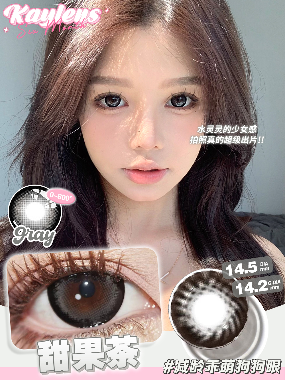 Kaylens 半年拋 圓萌熊/甜果茶