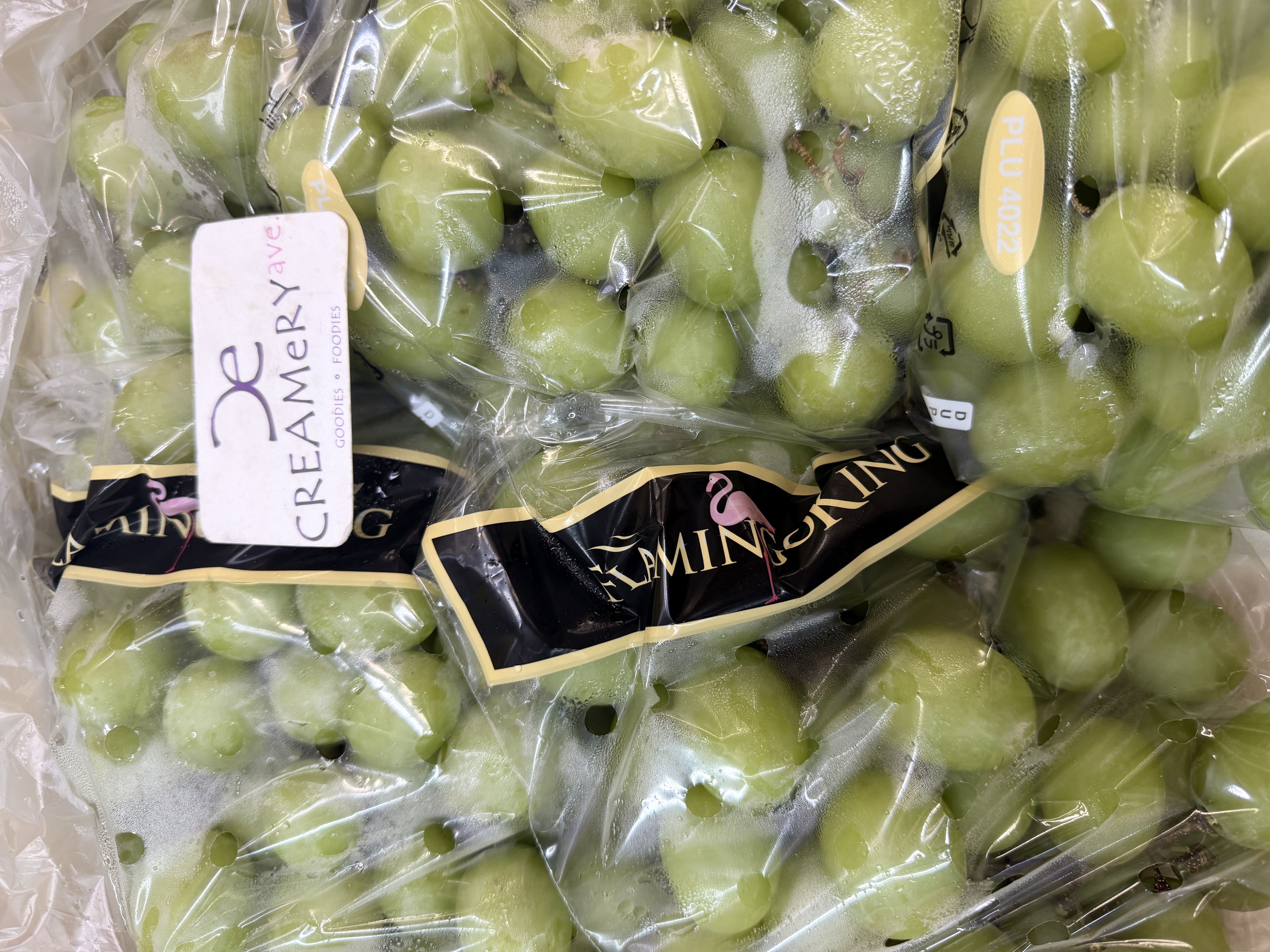 秘魯 Peru JJJ 大大粒波子提 seedless grape green 2.5磅