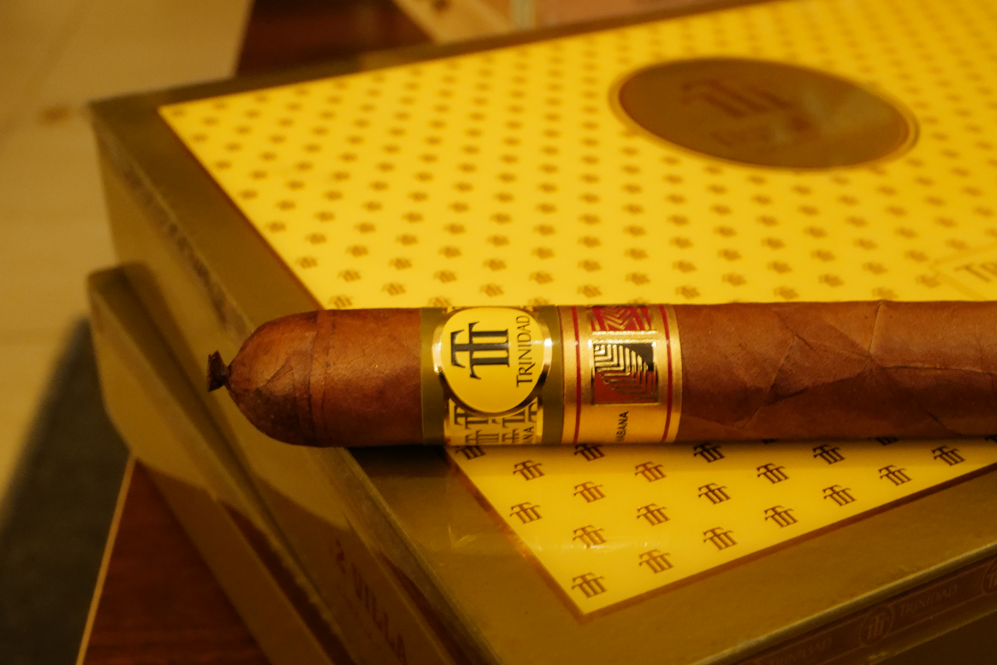 Trinidad Villa Especialista en Habanos y La Casa del Habano Exclusivo (千里達 別墅)