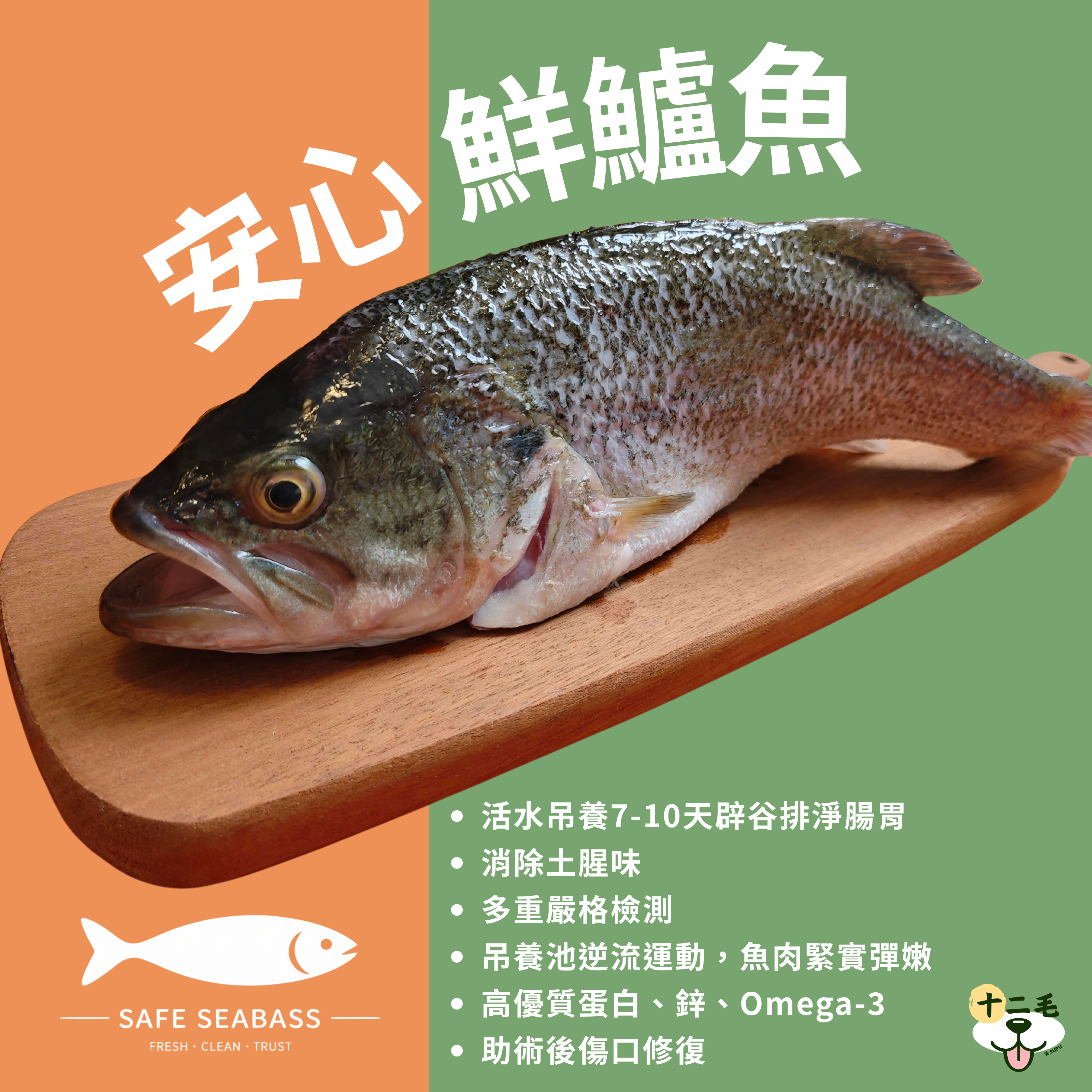 十二毛｜🐶狗狗術後鱸魚湯套裝｜6個裝（每款各2個｜100ml/個）