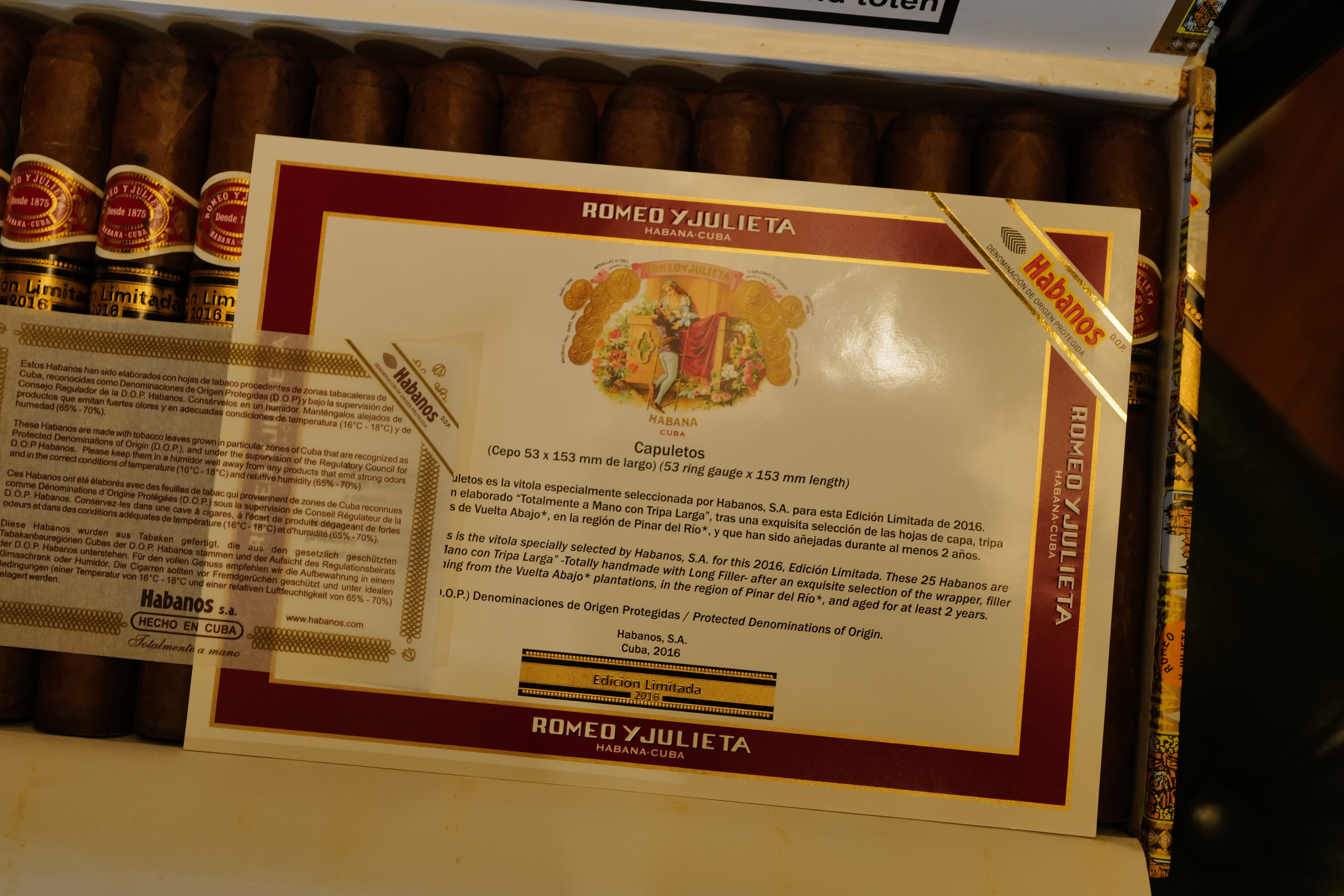Romeo y Julieta Capuletos 2016 EL (羅密歐與朱麗葉  加布里多 2016 年度限定版)