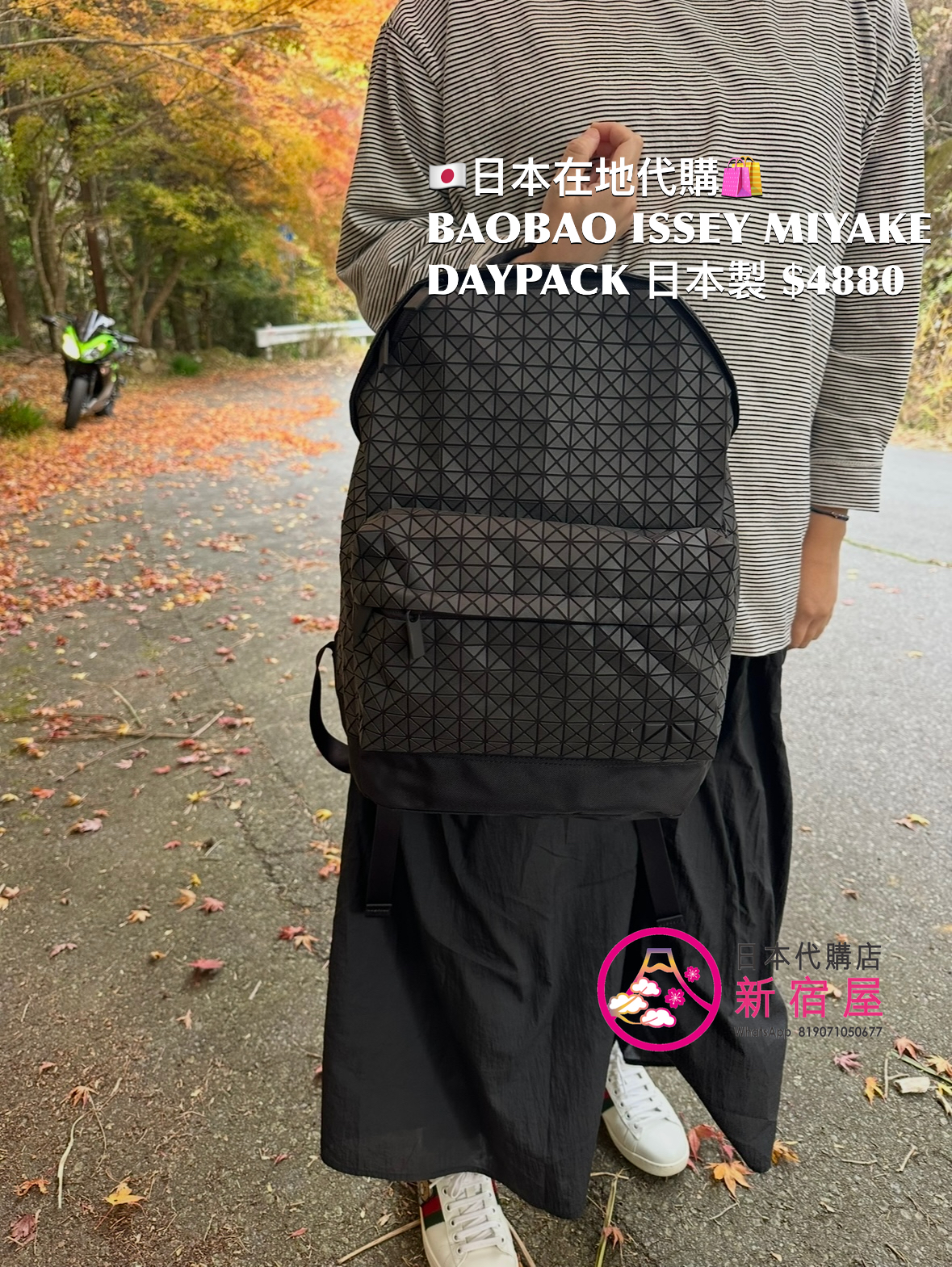 BAOBAO ISSEY MIYAKE DAYPACK