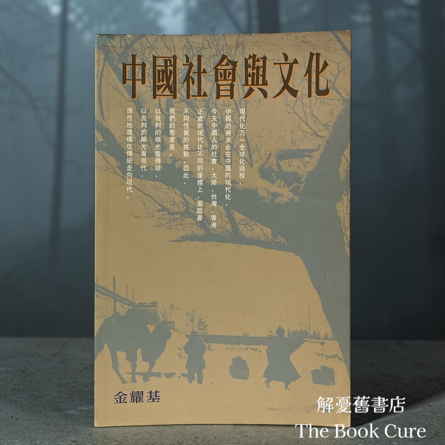 中國社會與文化 / 金耀基 著