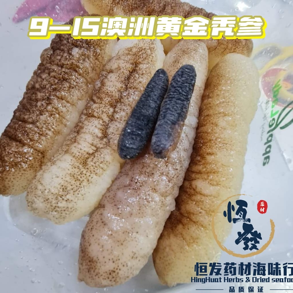 9-15头澳洲金秃参