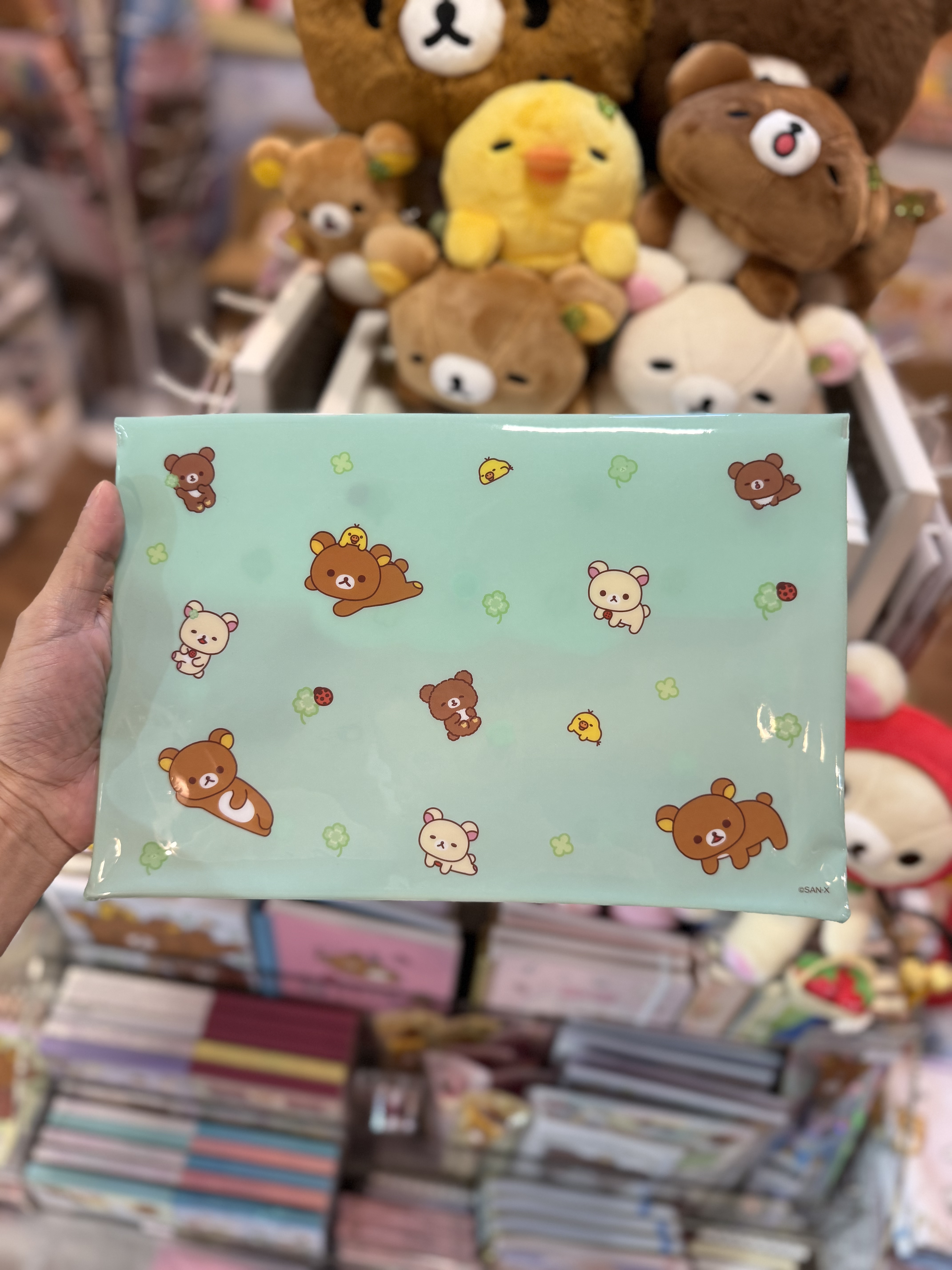 《現貨》全新rilakkuma B6 文件收納袋