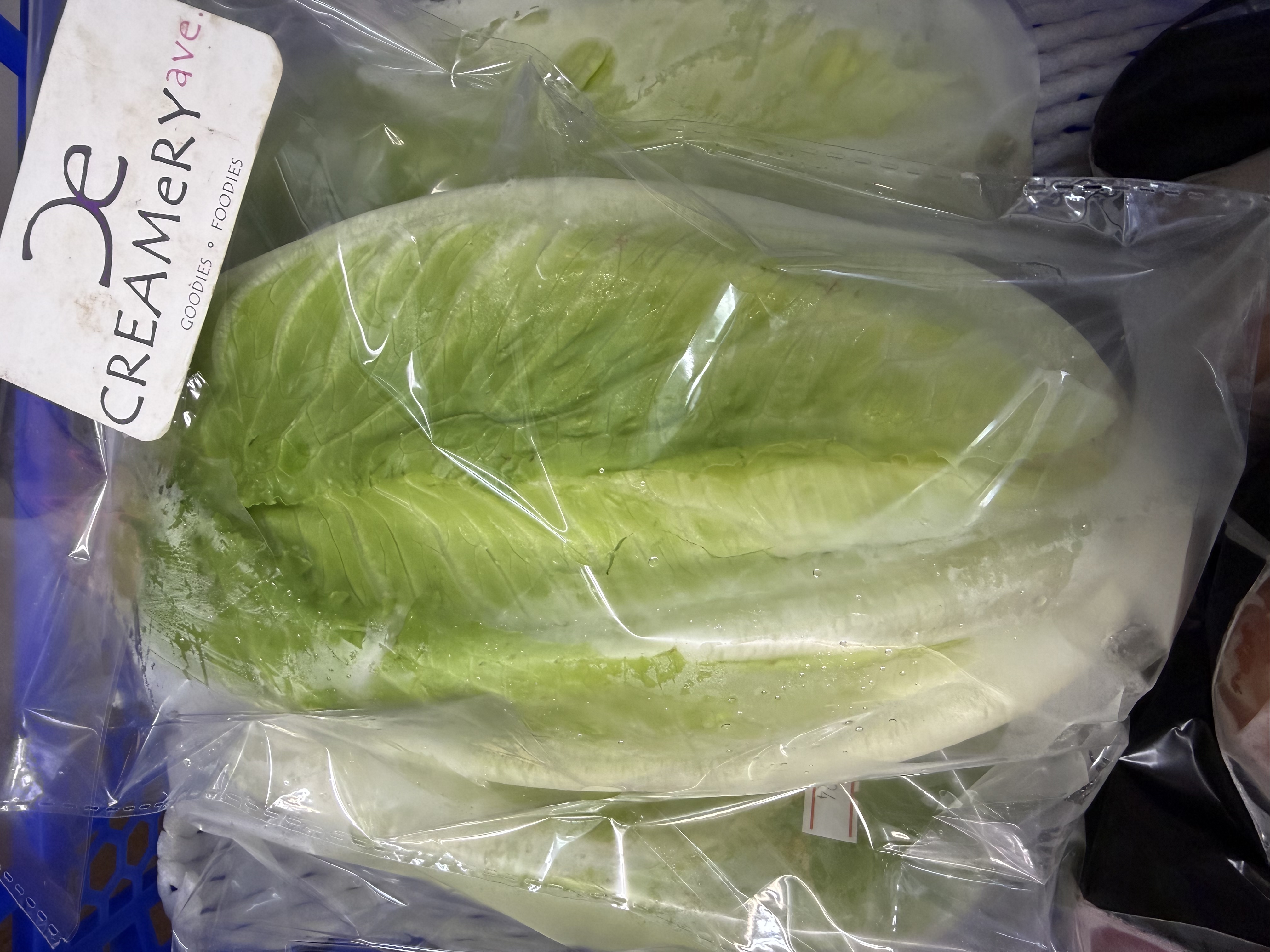 本地羅馬生菜 Local Romaine Lettuce ±260g-280g 