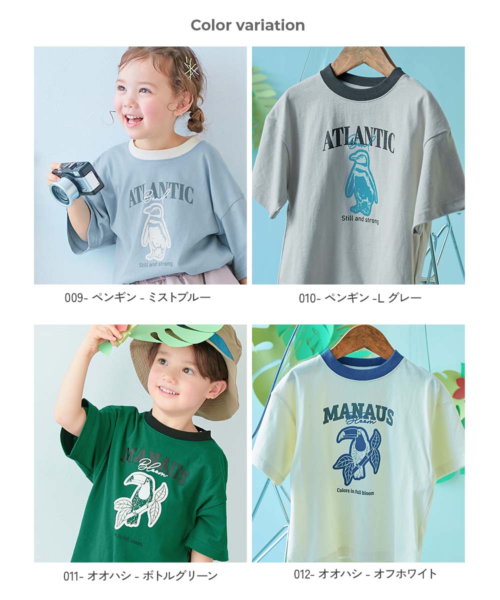 🆕【⭐訂購⭐】🌀 🇯🇵 日本直送🇯🇵 動物學院 大剪影印花 拼色領 短袖TEE［14款選］🌀[ELBA-0100][260311]