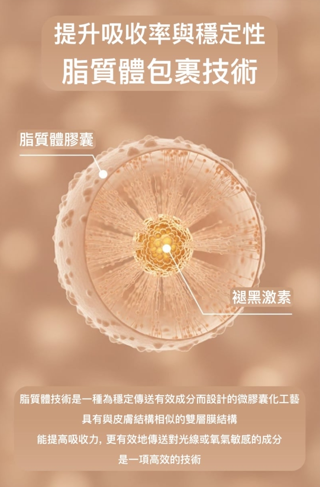 韓國🇰🇷直送✈️RIRE TRANEX 煥白淡斑精華霜10g