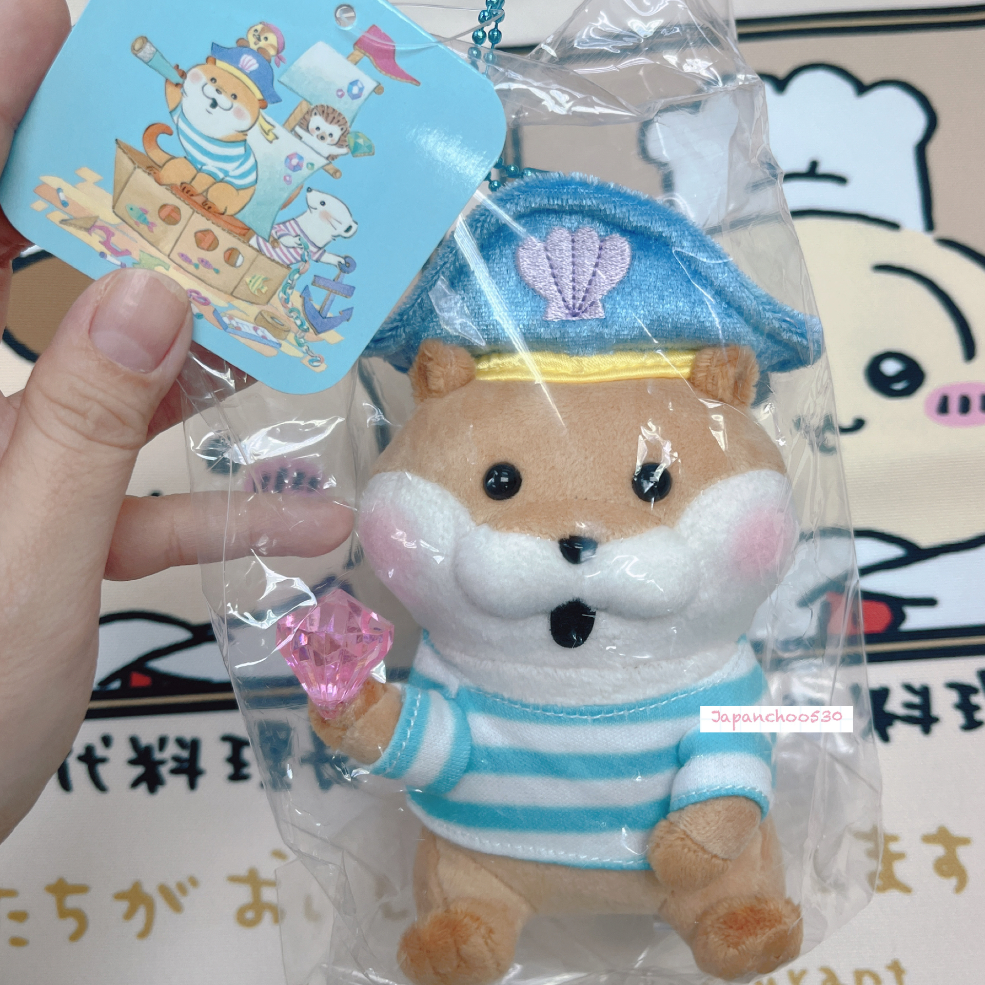 日本現貨/預訂📍可愛謊言的水獺海盜造型公仔吊飾