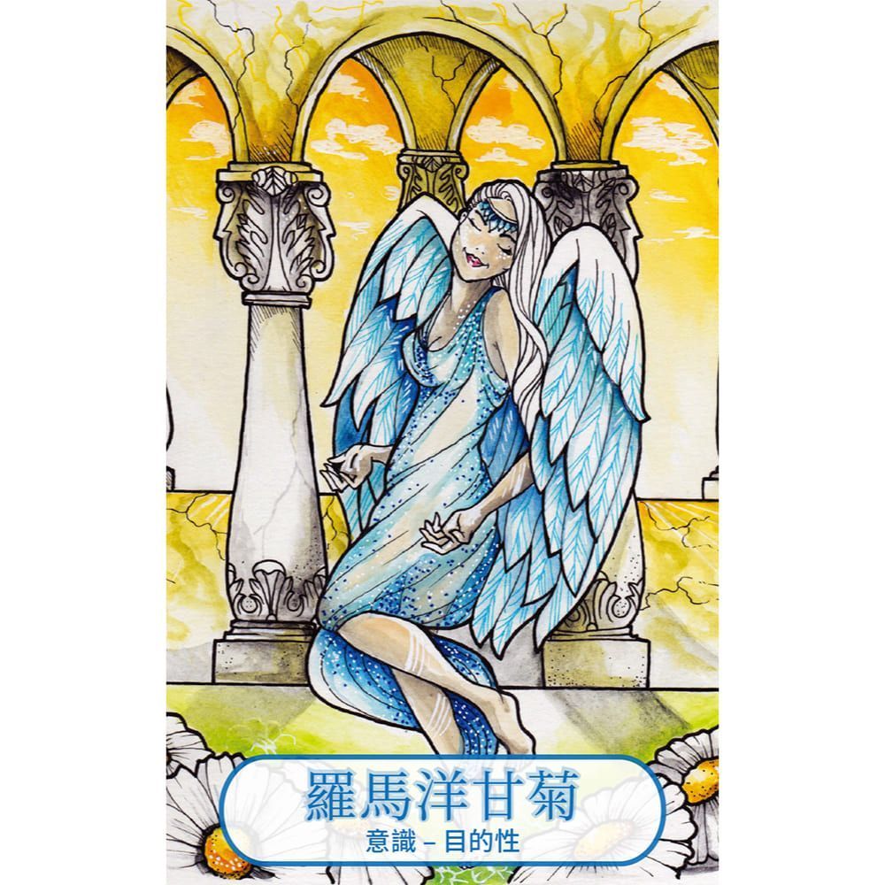 精油直覺卡