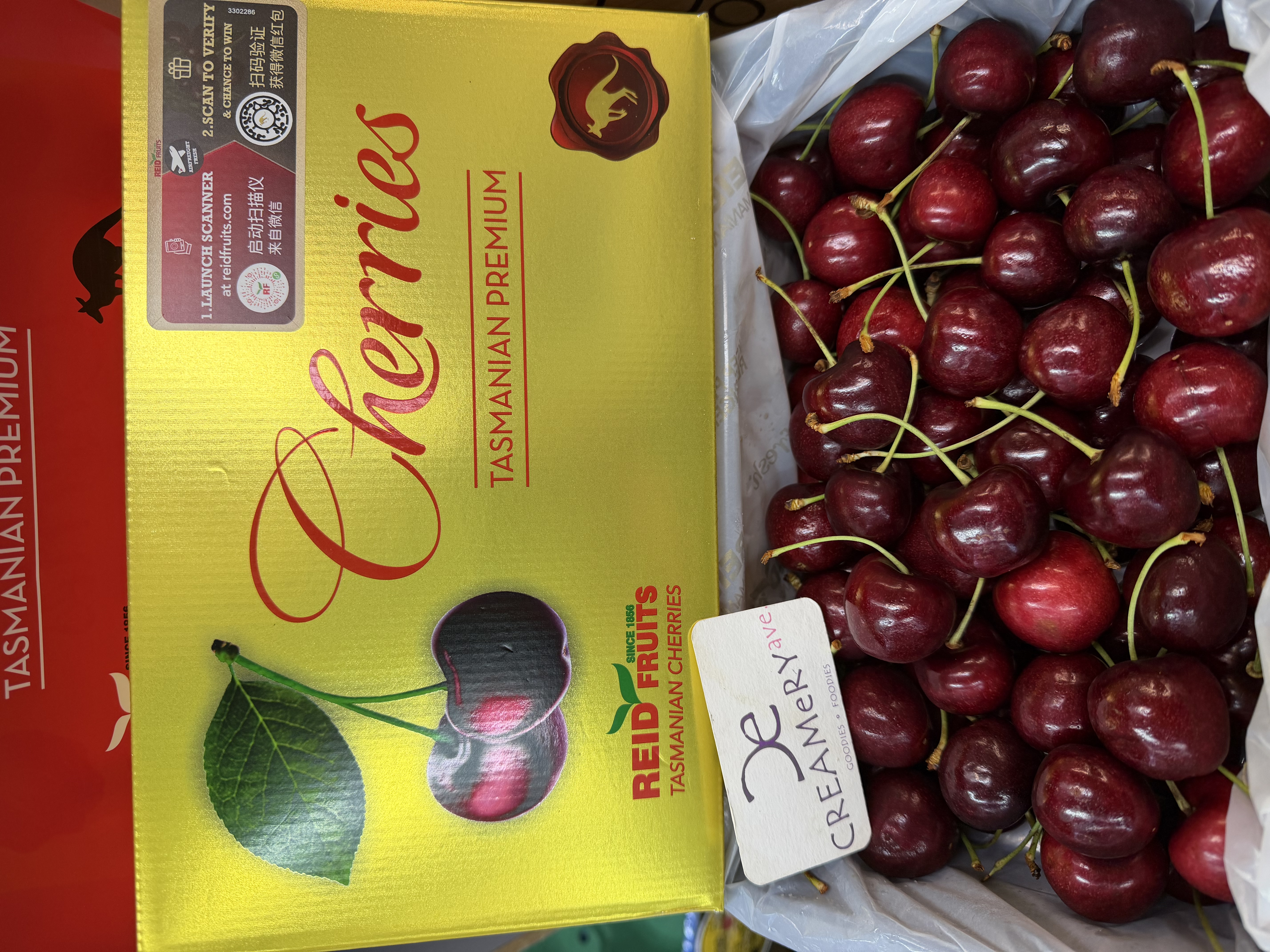 澳洲 塔斯曼尼亞 金袋鼠 車厘子 Australia Tasmania REID Cherry Simone 30mm+ 1kg 盒裝 