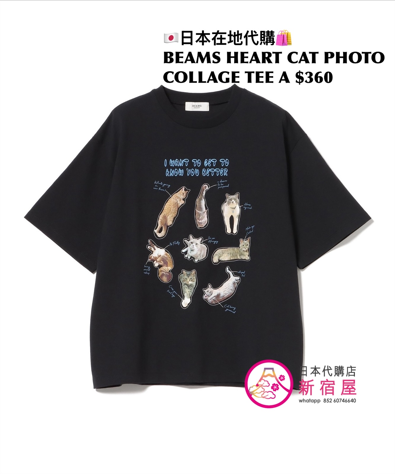 BEAMS HEART CAT PHOTO COLLAGE T-SHIRT