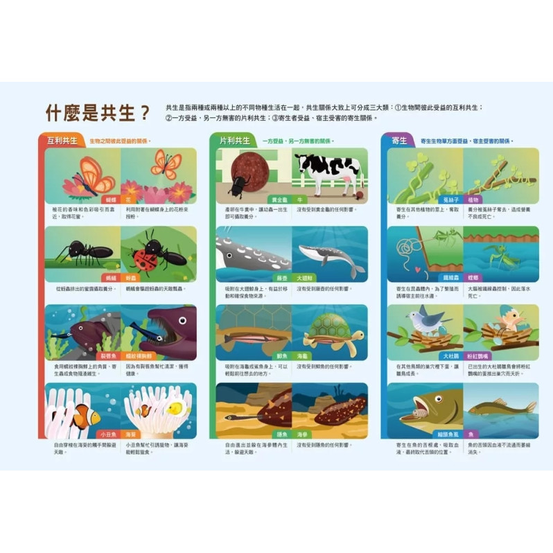 漫畫大英百科【生物地科17】：共生生物